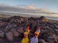 /home//u458753944/public_html/sourcegallery//other/uk 2023/edinburgh/IMG_20230914_071143130_HDR.jpg